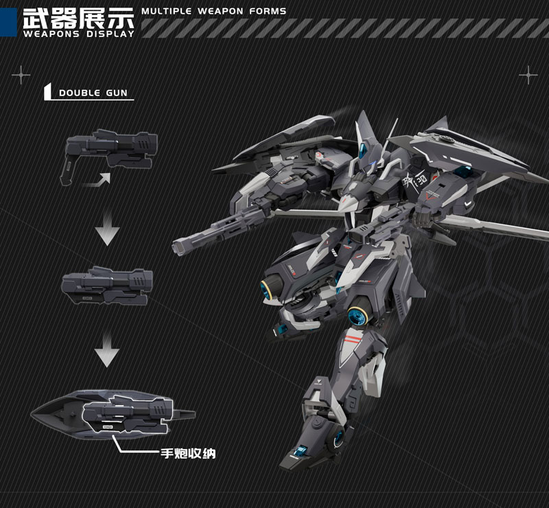 Dragon Soul Fighter Series J-20 Cang Wei