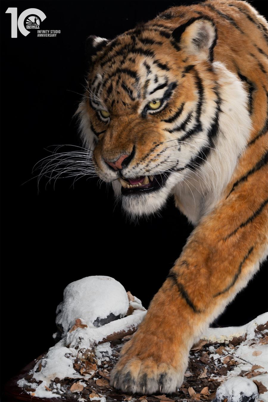 Original 1/1 Museum-grade replica of Siberian tiger
