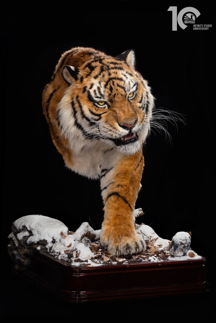 Original 1/1 Museum-grade replica of Siberian tiger