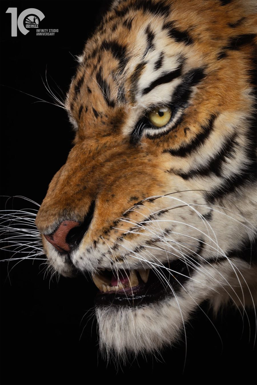 Original 1/1 Museum-grade replica of Siberian tiger