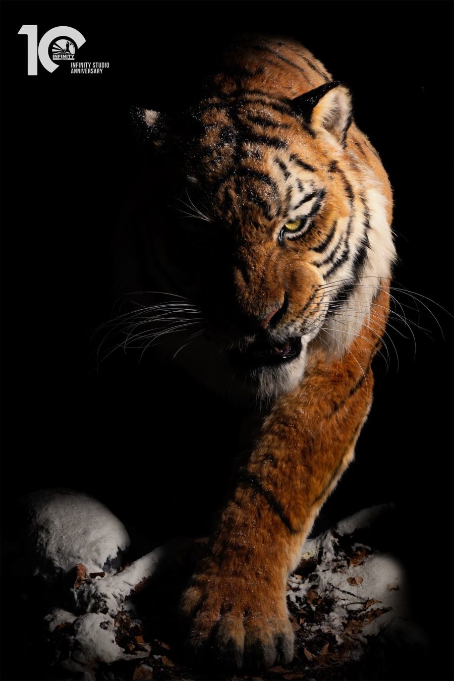 Original 1/1 Museum-grade replica of Siberian tiger