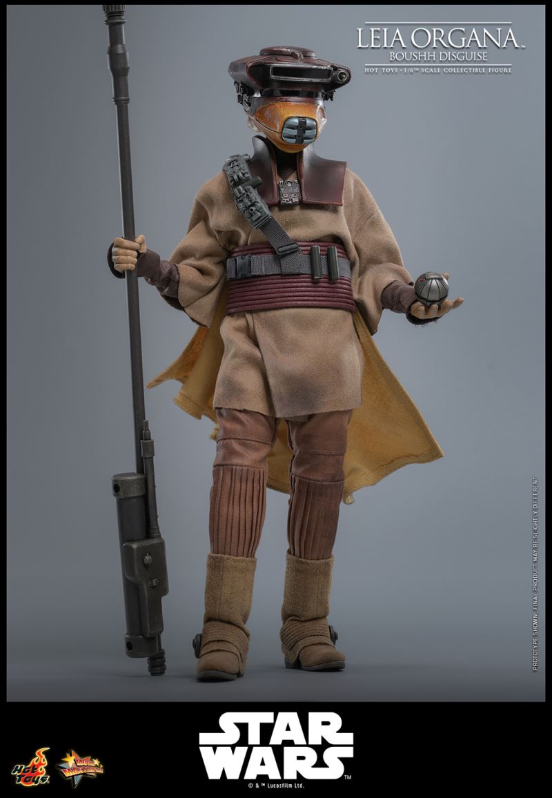 Leia Organa (Boushh Disguise)