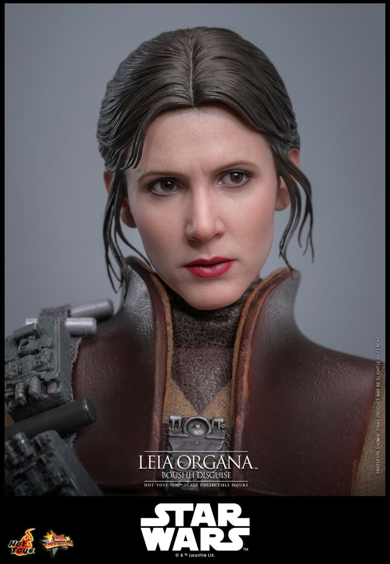 Leia Organa (Boushh Disguise)