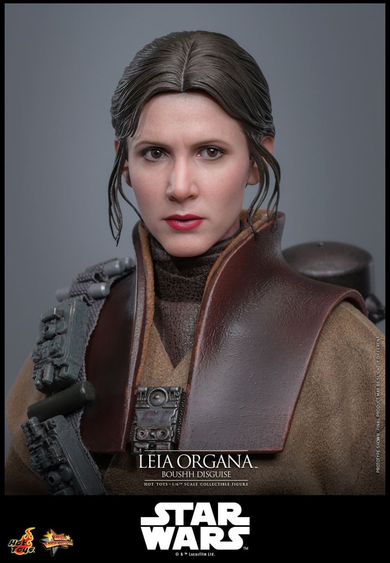 Leia Organa (Boushh Disguise)