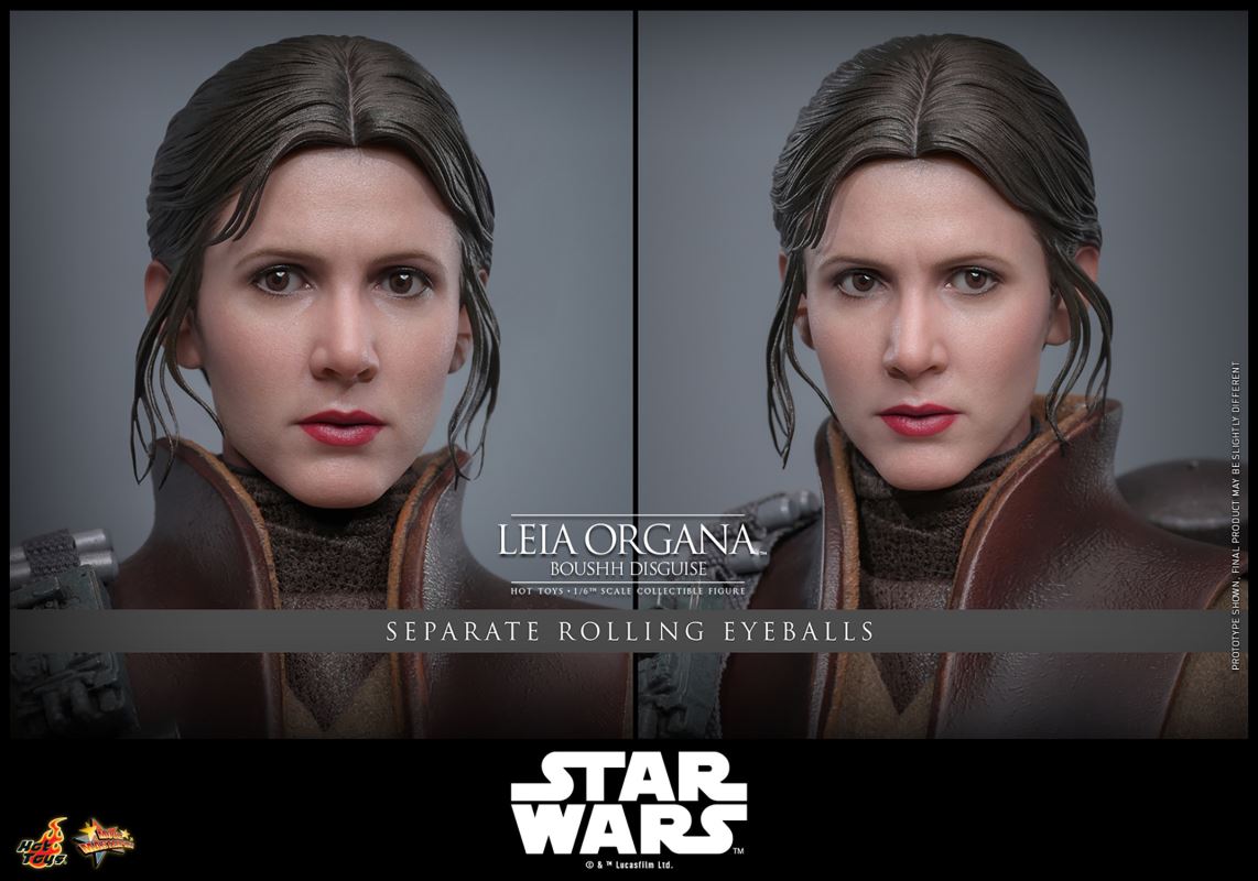 Leia Organa (Boushh Disguise)