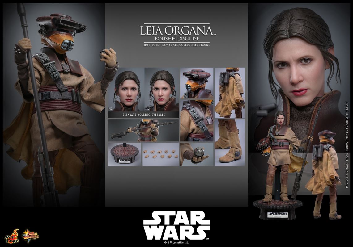 Leia Organa (Boushh Disguise)