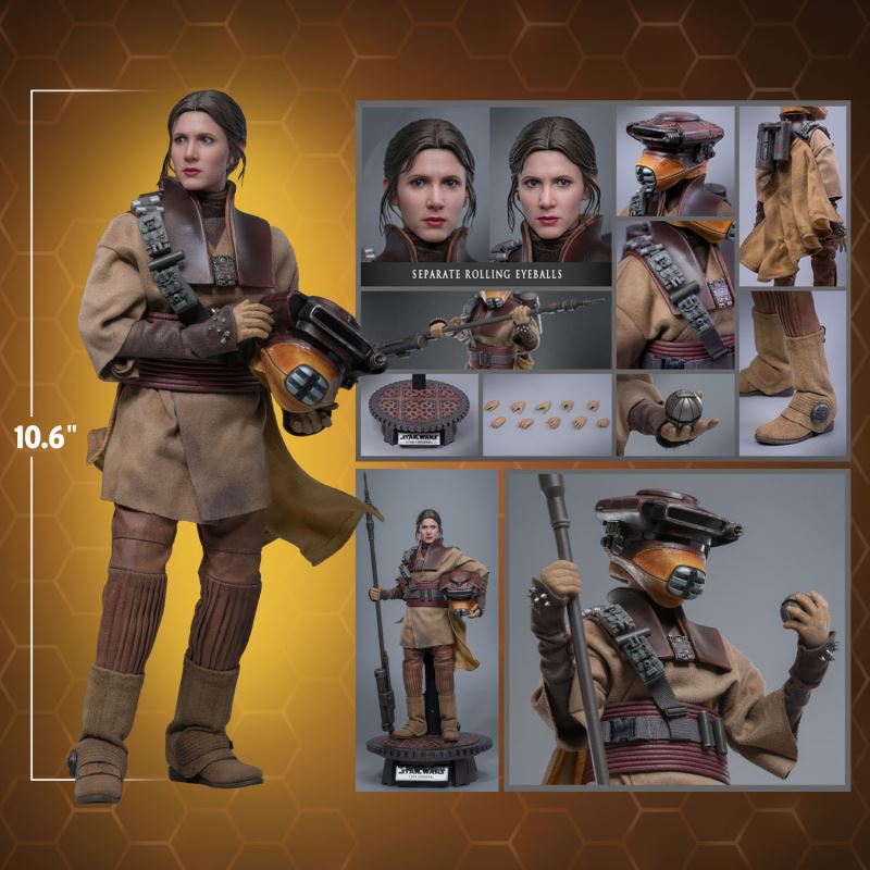 Leia Organa (Boushh Disguise)
