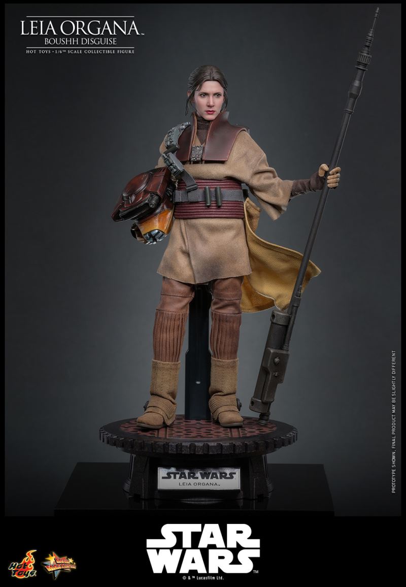 Leia Organa (Boushh Disguise)