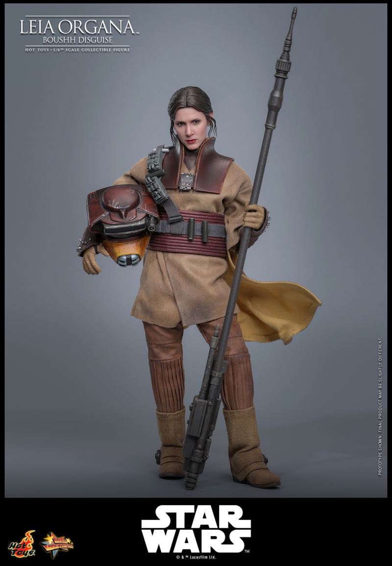 Leia Organa (Boushh Disguise)