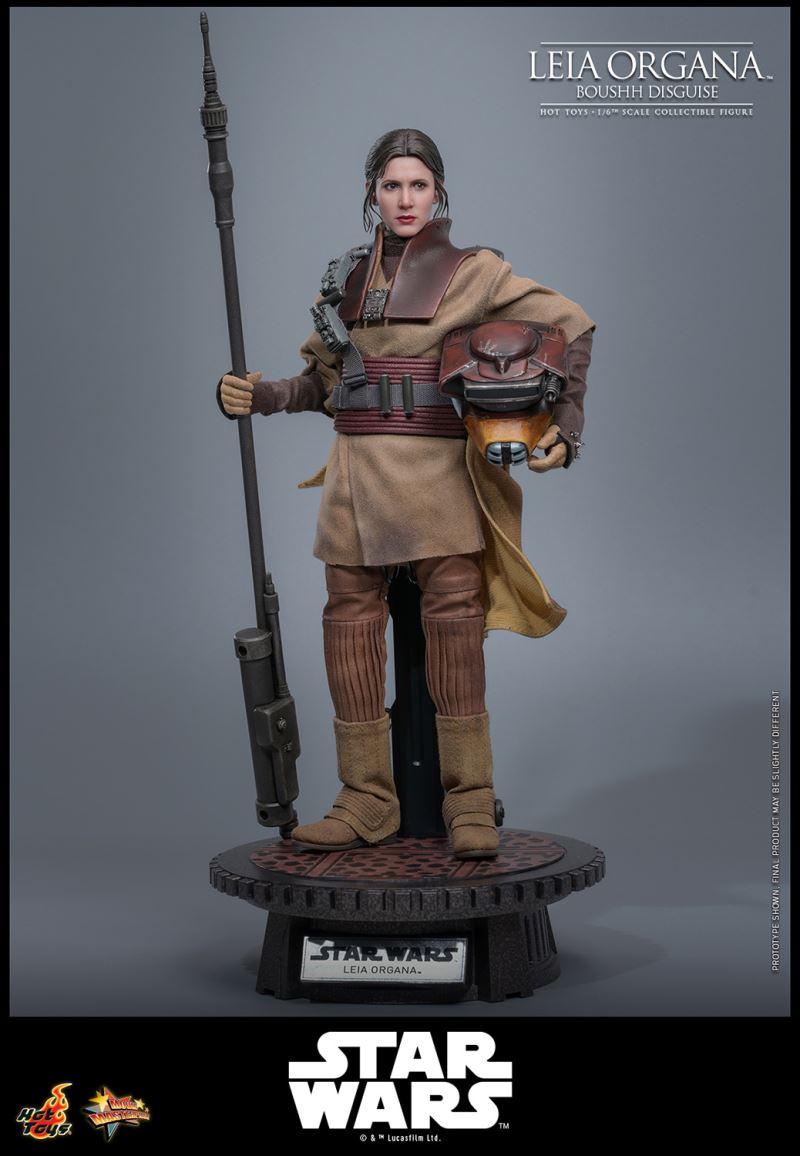 Leia Organa (Boushh Disguise)