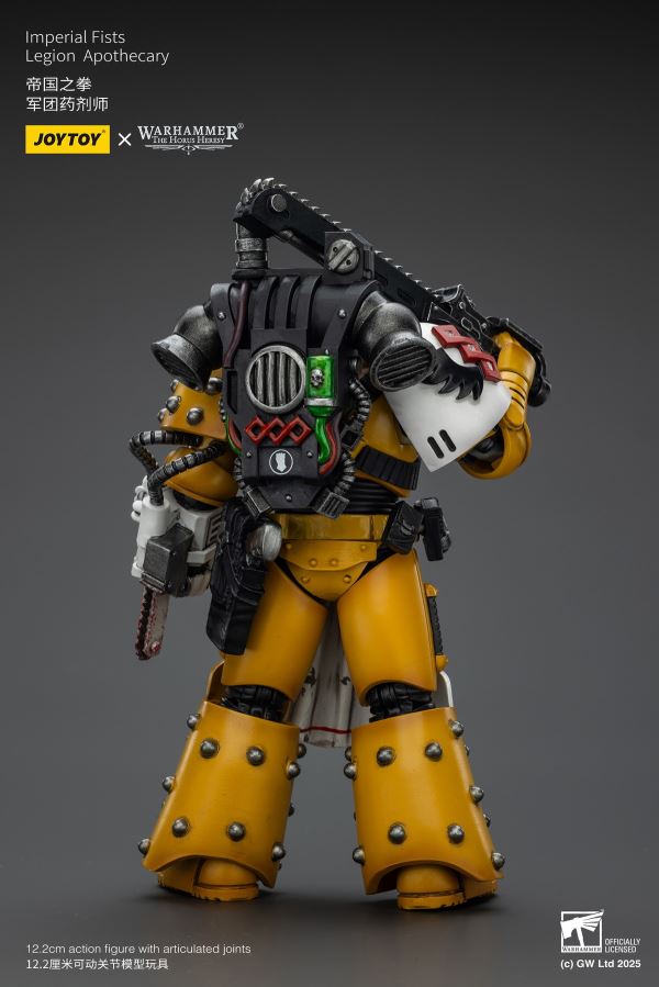 Sons of Horus Archon/Legion Warrior/Apothecary/Imperial Fists Apothecary 1/18