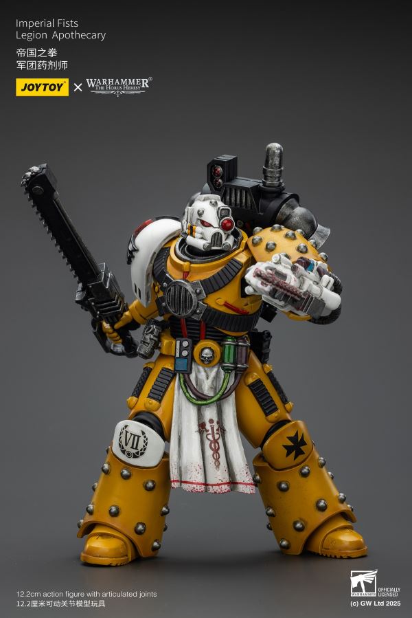 Sons of Horus Archon/Legion Warrior/Apothecary/Imperial Fists Apothecary 1/18