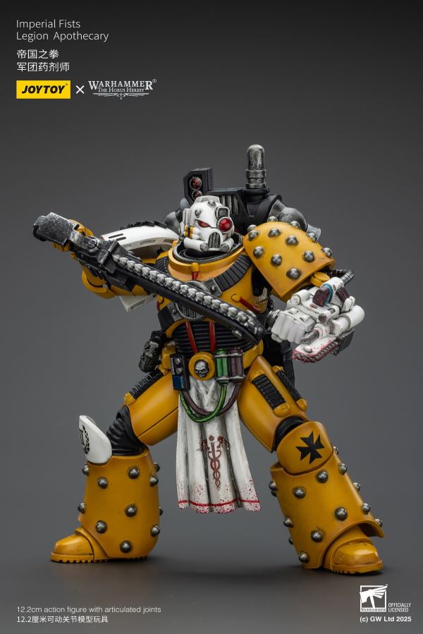 Sons of Horus Archon/Legion Warrior/Apothecary/Imperial Fists Apothecary 1/18