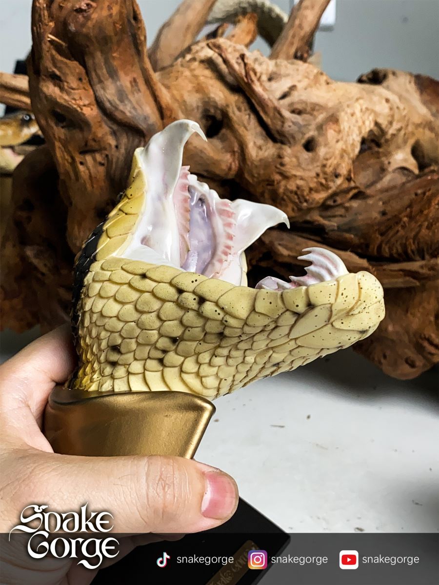 Deinagkistrodon Acutus Head Statue