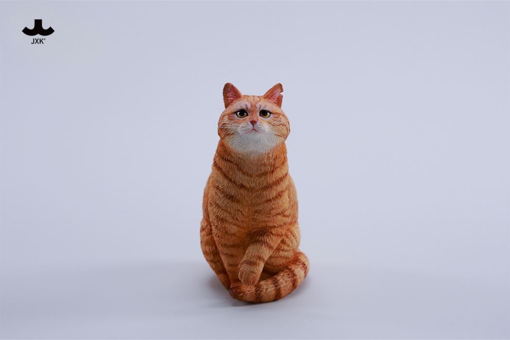 The Forbidden City Cat