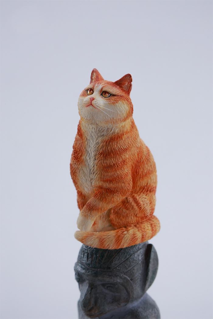 The Forbidden City Cat