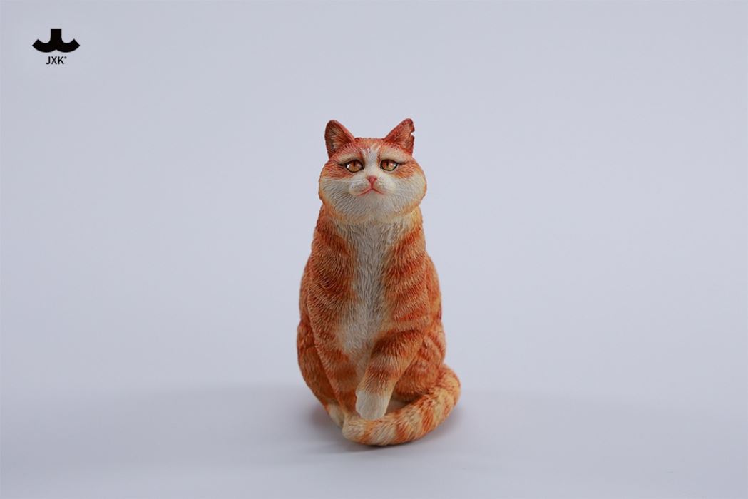 The Forbidden City Cat