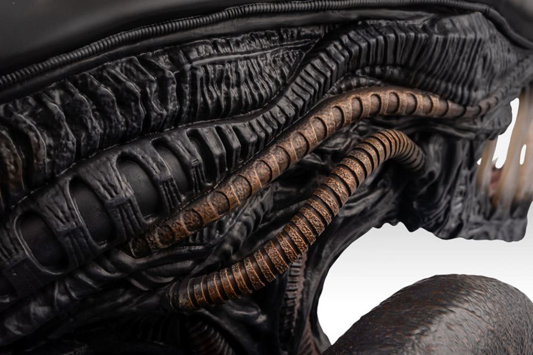 Xenomorph