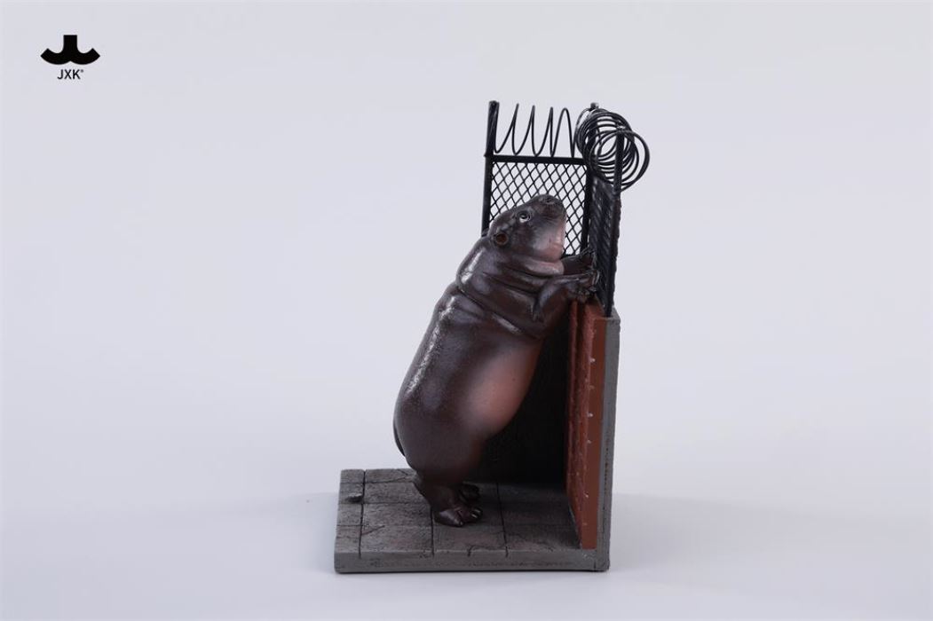 Baby Hippo by the Wall: MooDeng