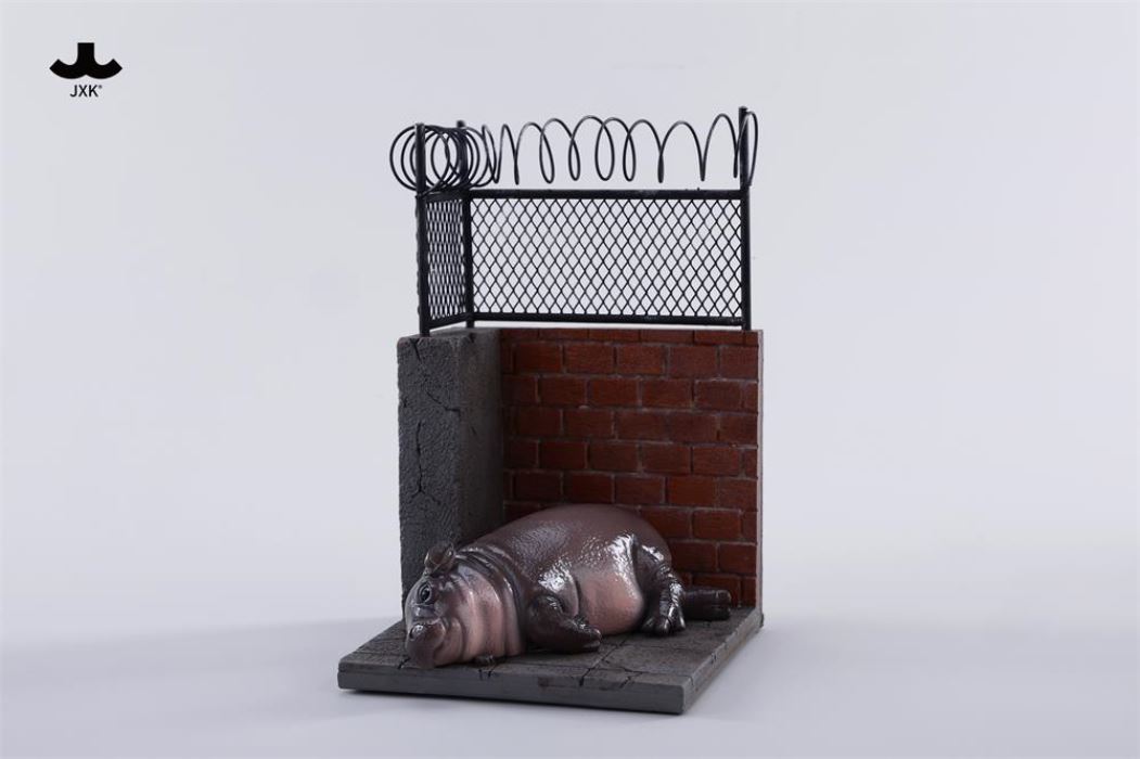 Baby Hippo by the Wall: MooDeng