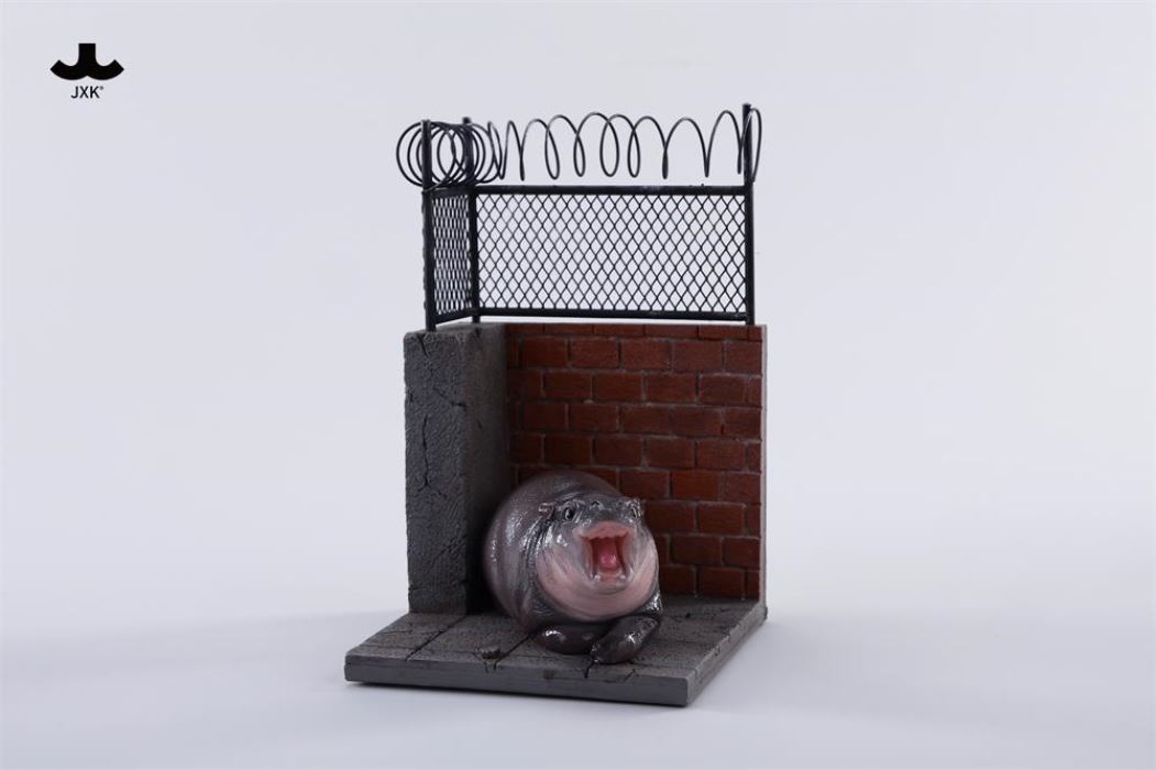 Baby Hippo by the Wall: MooDeng