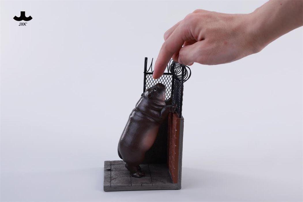 Baby Hippo by the Wall: MooDeng