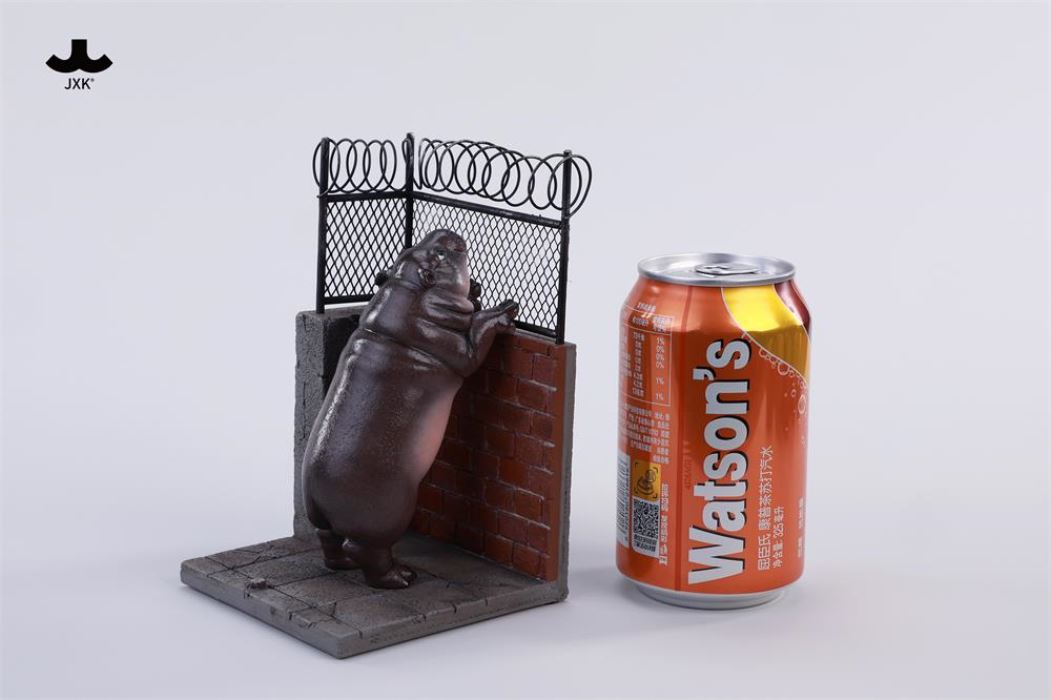 Baby Hippo by the Wall: MooDeng