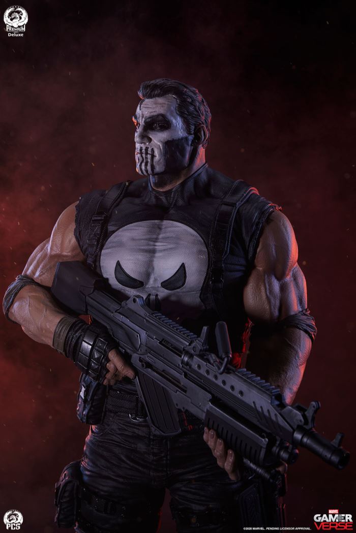 Punisher 1/3