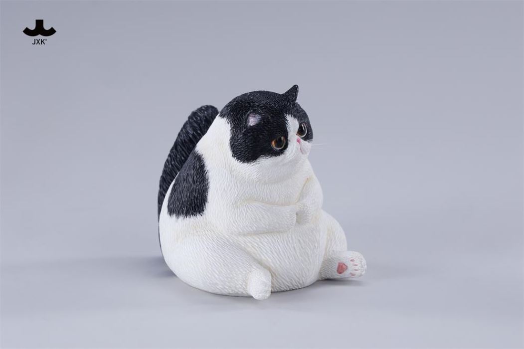 Multiple cat - Meow Group