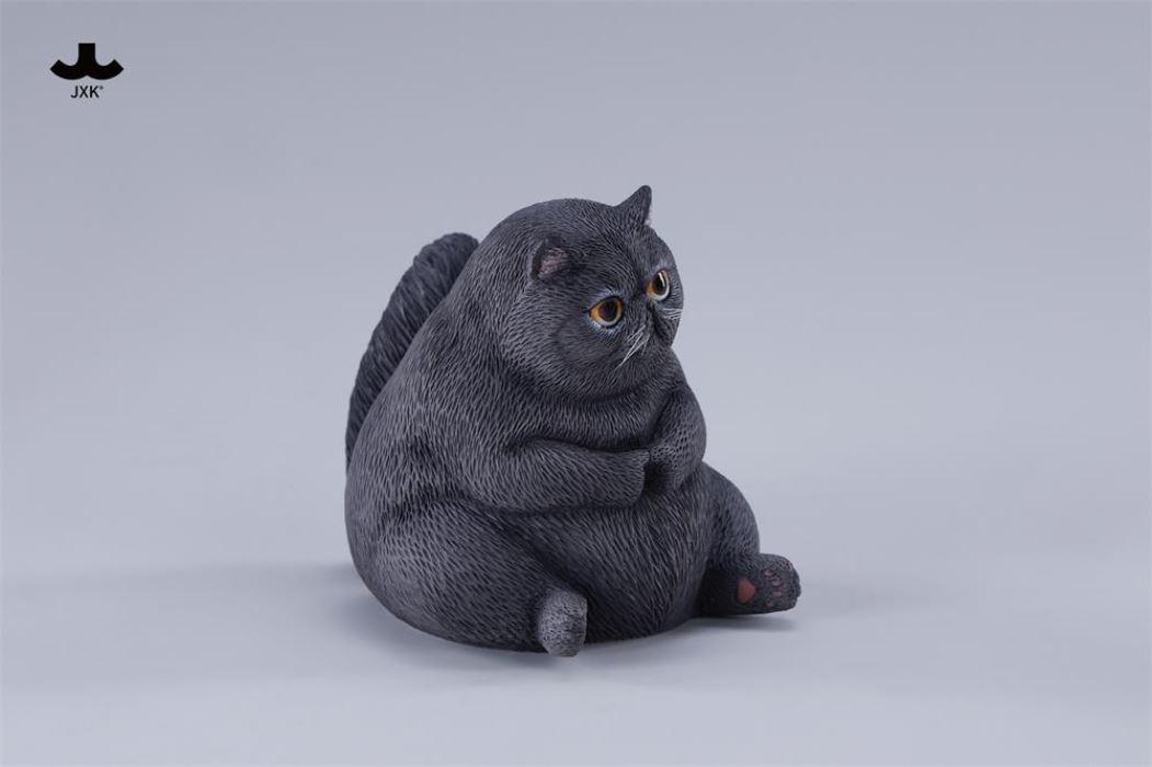 Multiple cat - Meow Group