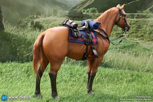 US Army 7th Cavalry Regiment (1876) - Captain Nathan 1/6