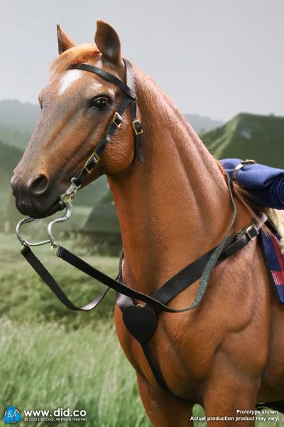 US Army 7th Cavalry Regiment (1876) - Captain Nathan 1/6