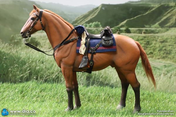 US Army 7th Cavalry Regiment (1876) - Captain Nathan 1/6
