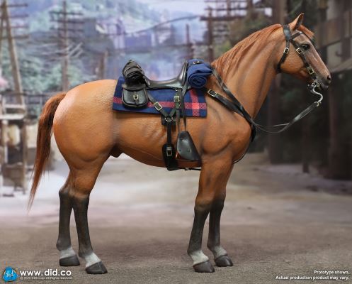 US Army 7th Cavalry Regiment (1876) - Captain Nathan 1/6