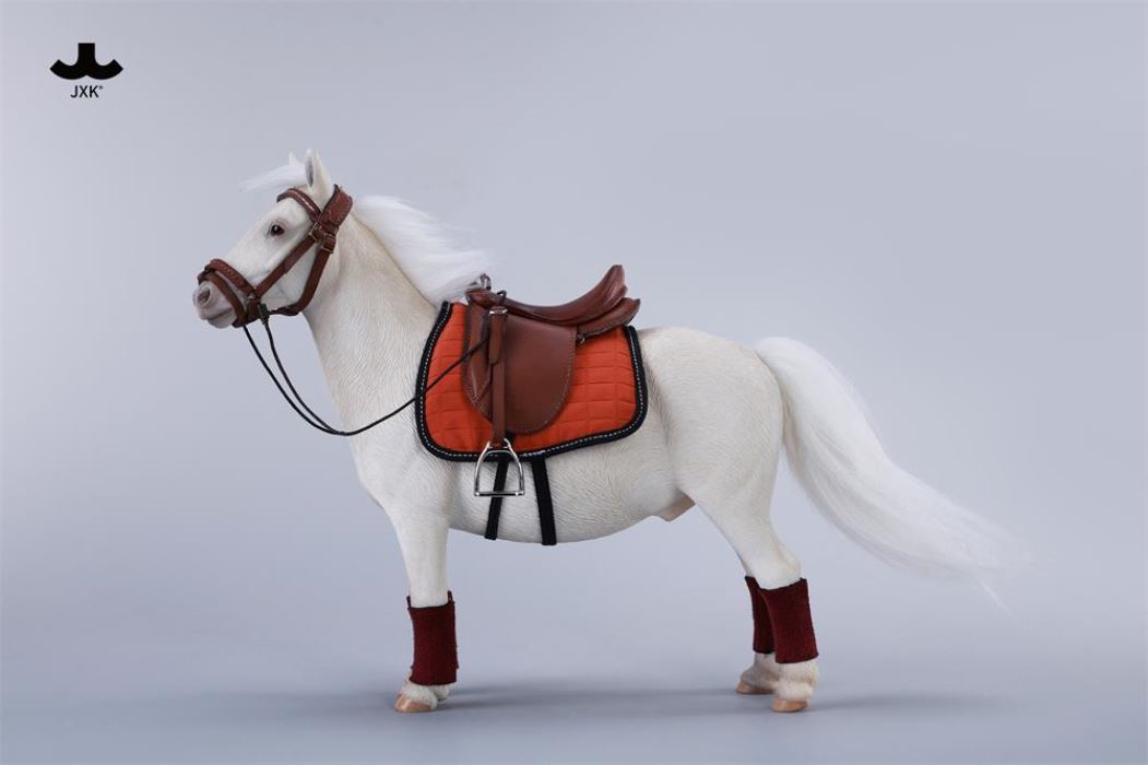 Bangs Pony - Shetland Pony 1/6