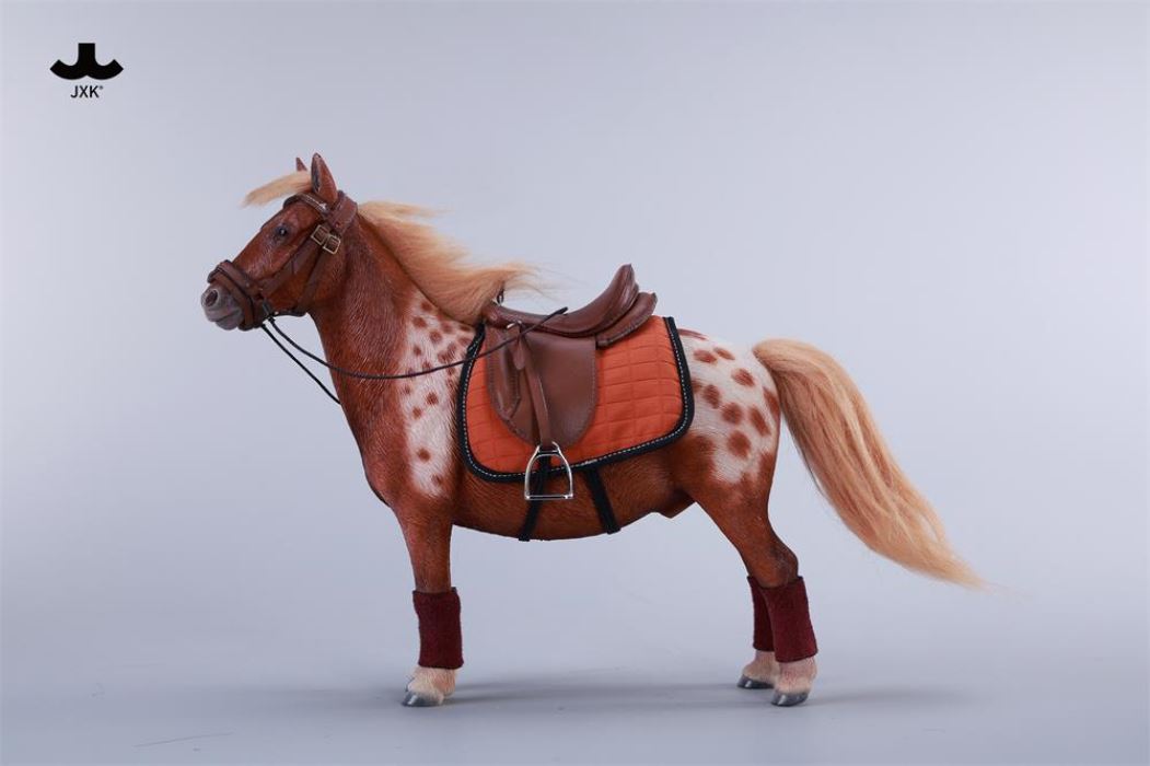 Bangs Pony - Shetland Pony 1/6