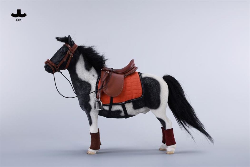 Bangs Pony - Shetland Pony 1/6