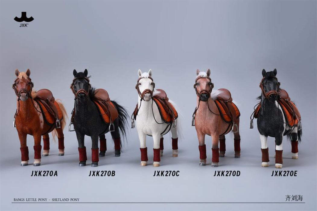 Bangs Pony - Shetland Pony 1/6