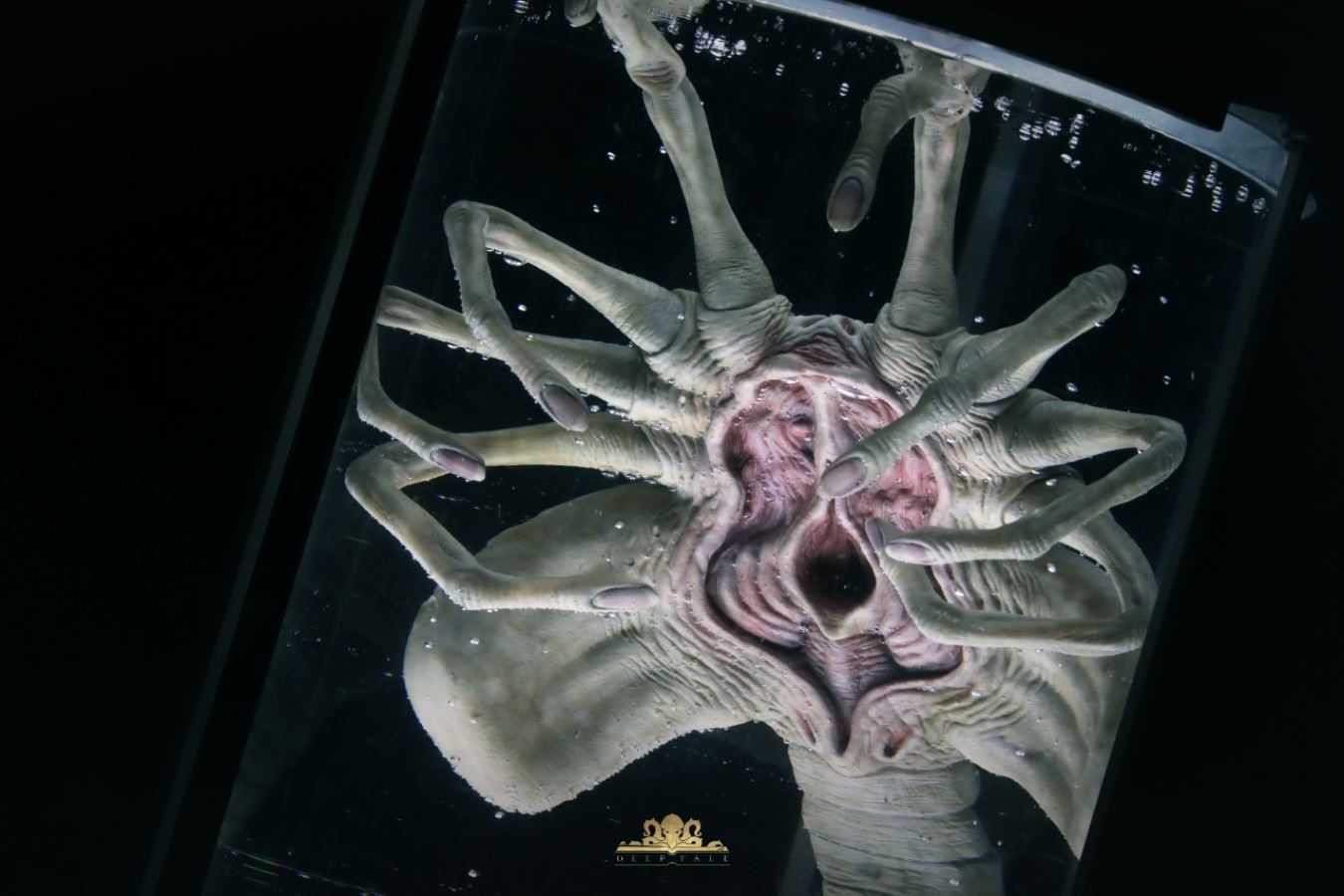 Facehugger Stasis Chamber - Alien