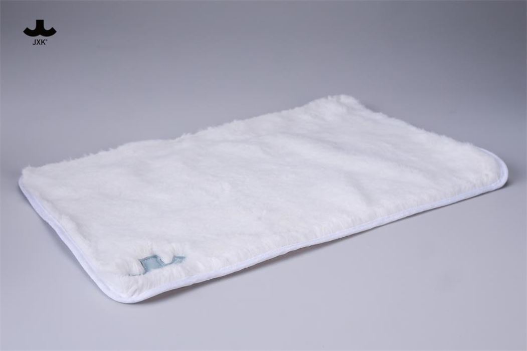 Dream-Fishing Kitten