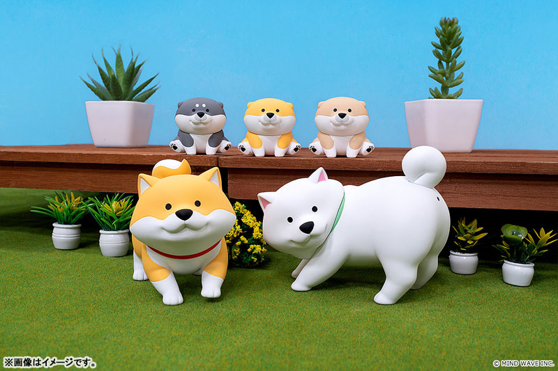 Blind Box Series Shibanban