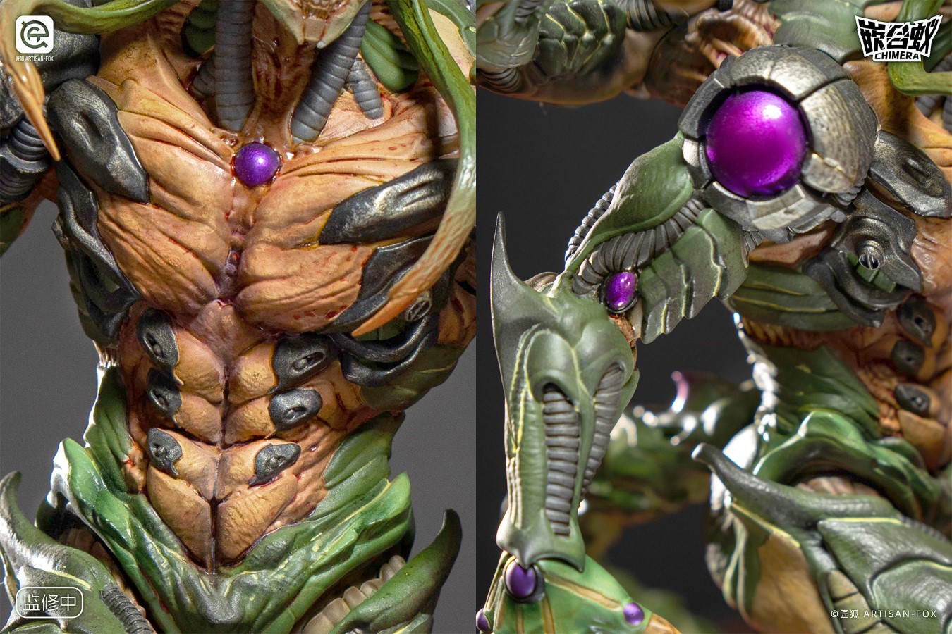 Destiny of the Shadowless Chimera Ant 1/6