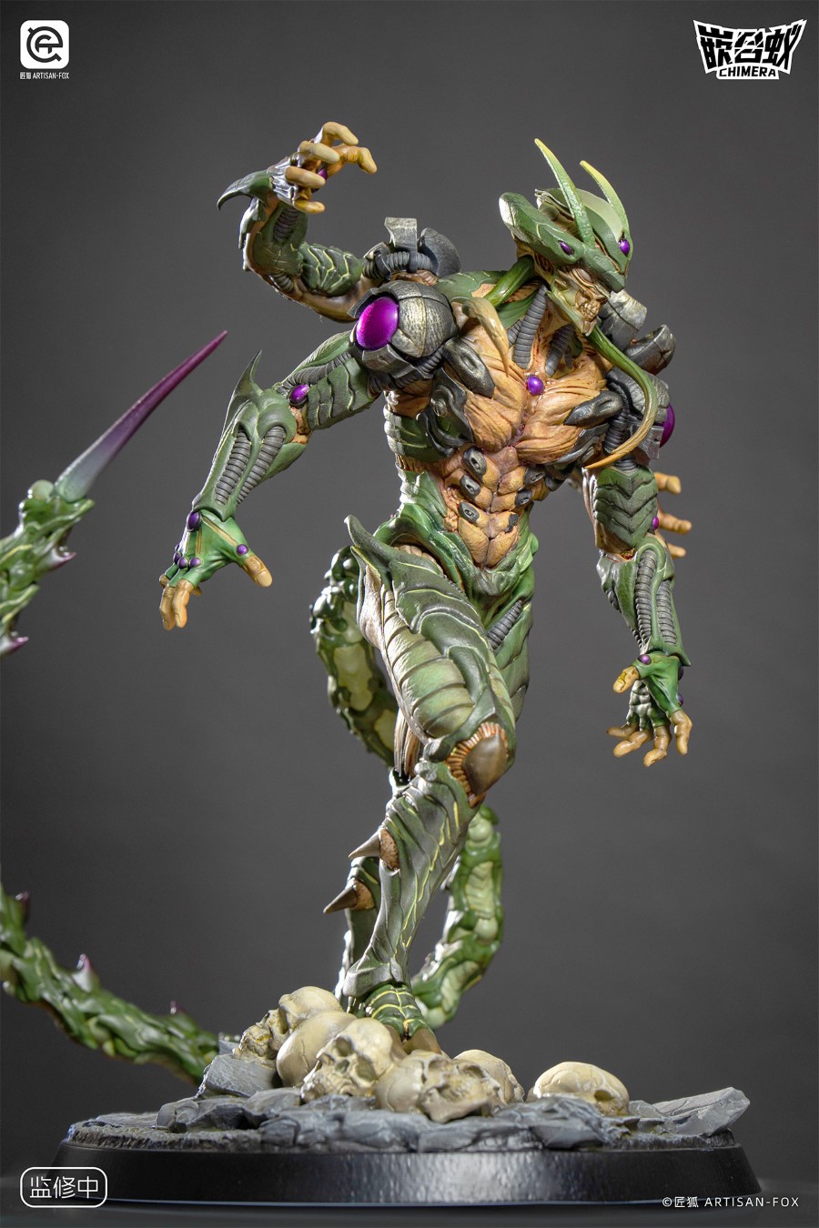Destiny of the Shadowless Chimera Ant 1/6