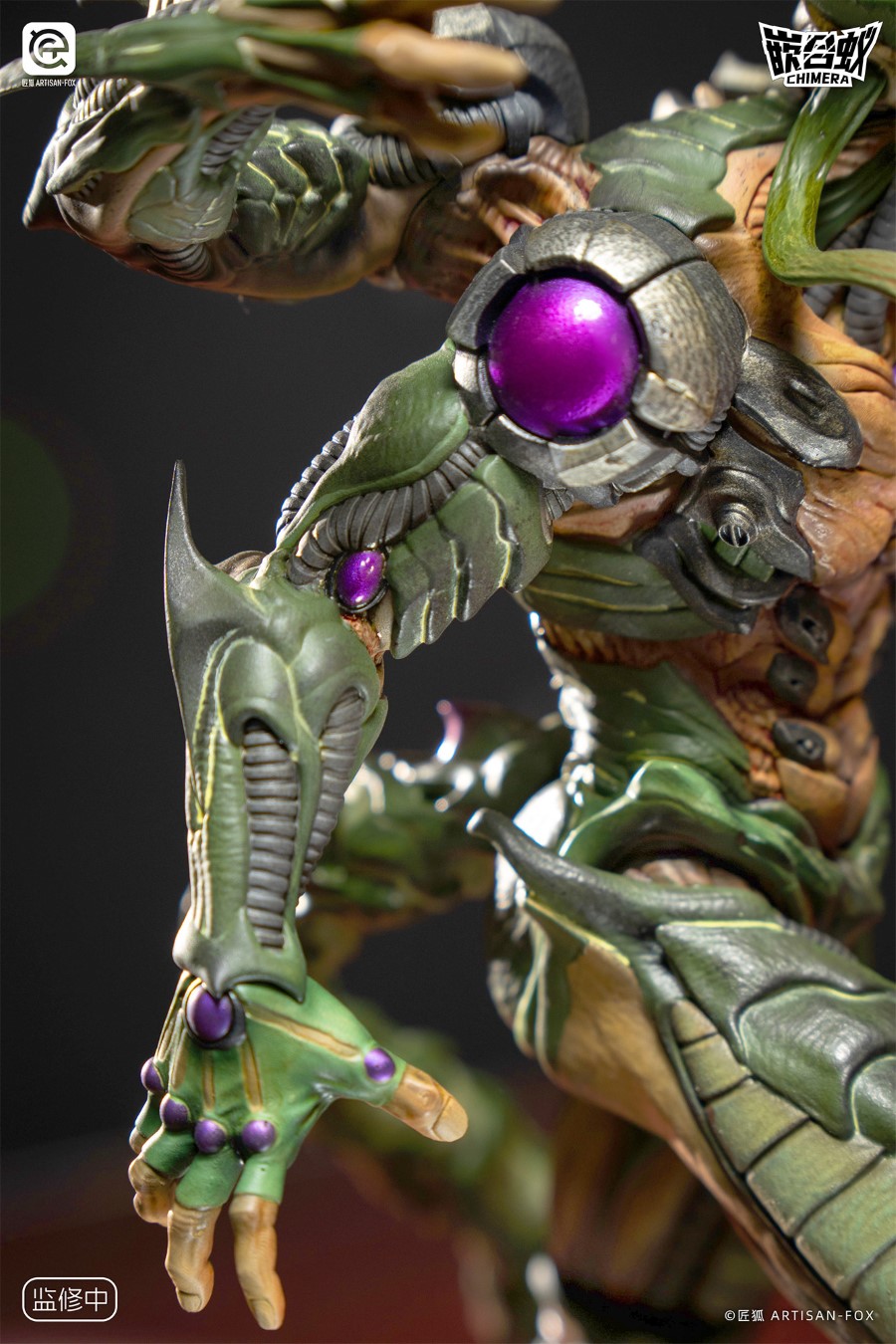 Destiny of the Shadowless Chimera Ant 1/6