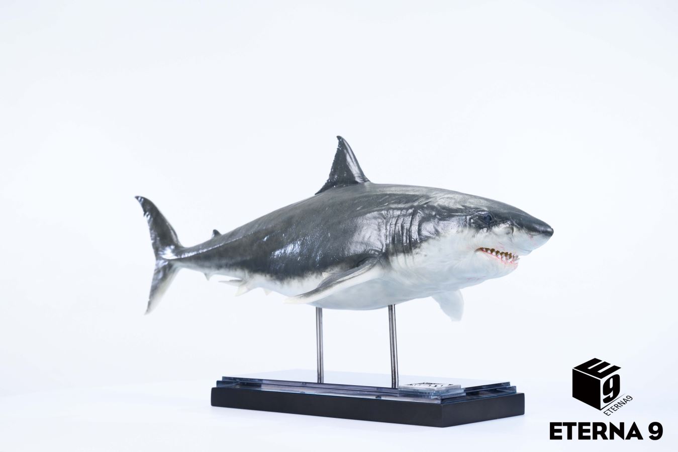 Original Ocean Life Series Shark Model