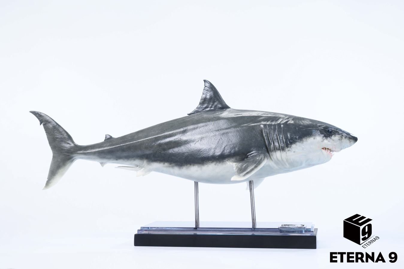 Original Ocean Life Series Shark Model