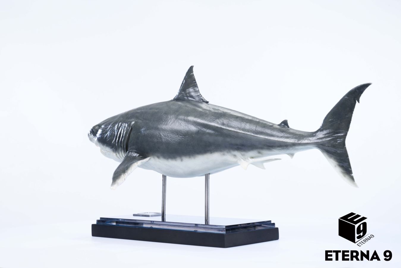 Original Ocean Life Series Shark Model