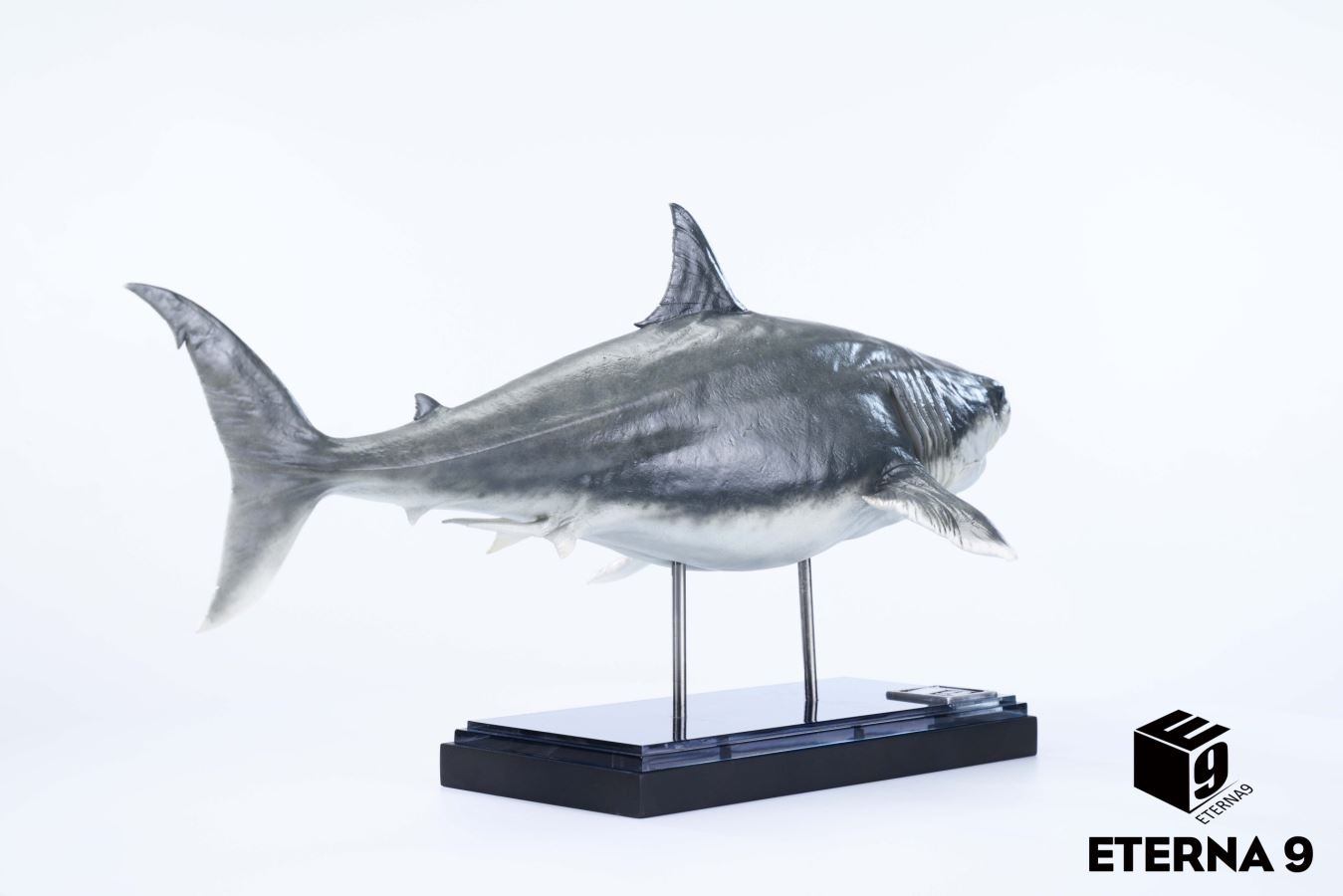Original Ocean Life Series Shark Model