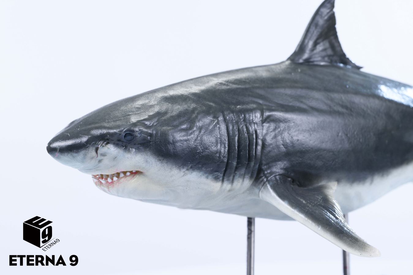 Original Ocean Life Series Shark Model