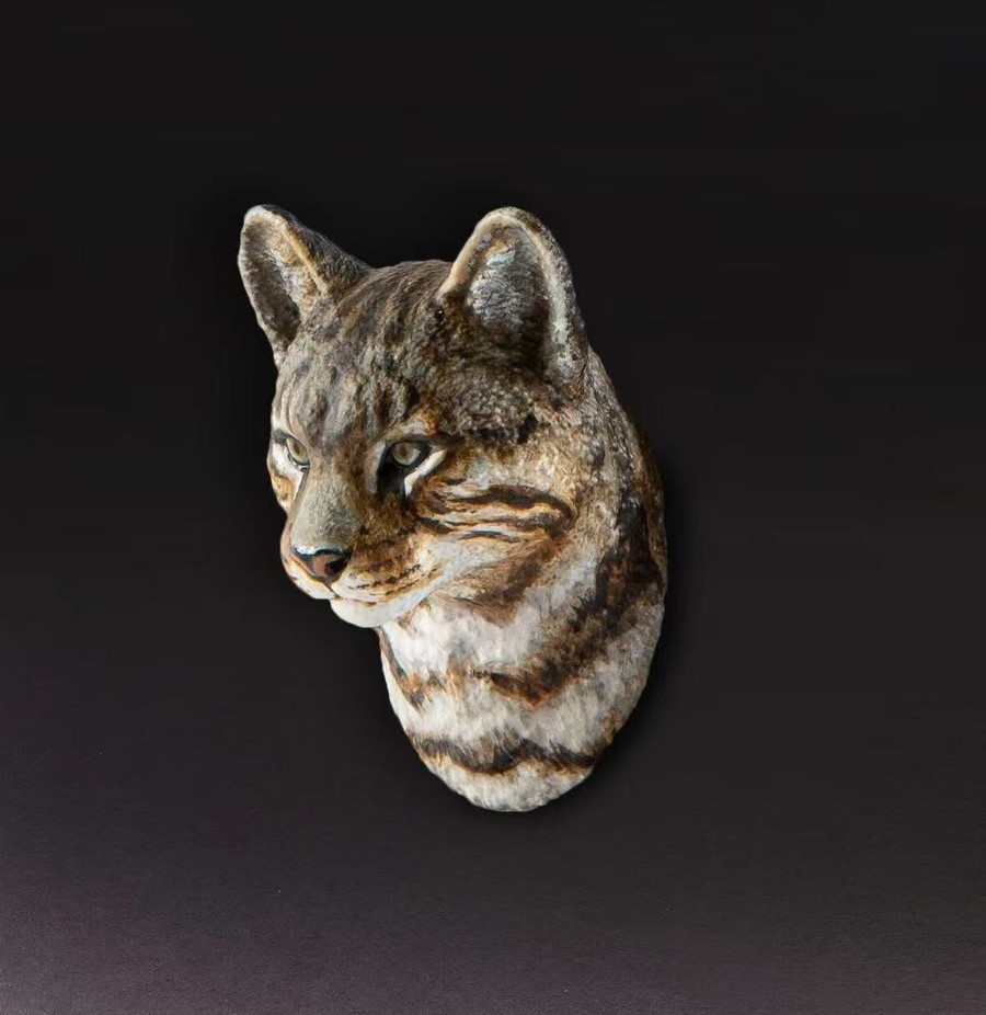 World Animal Encyclopedia Vol. 1